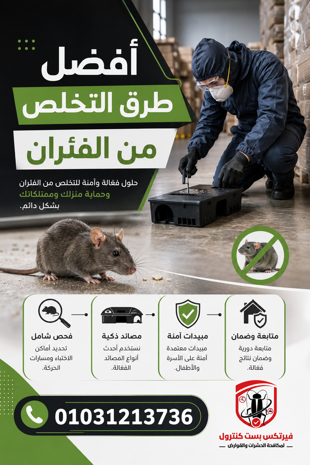 أفضل طرق التخلص من الفئران