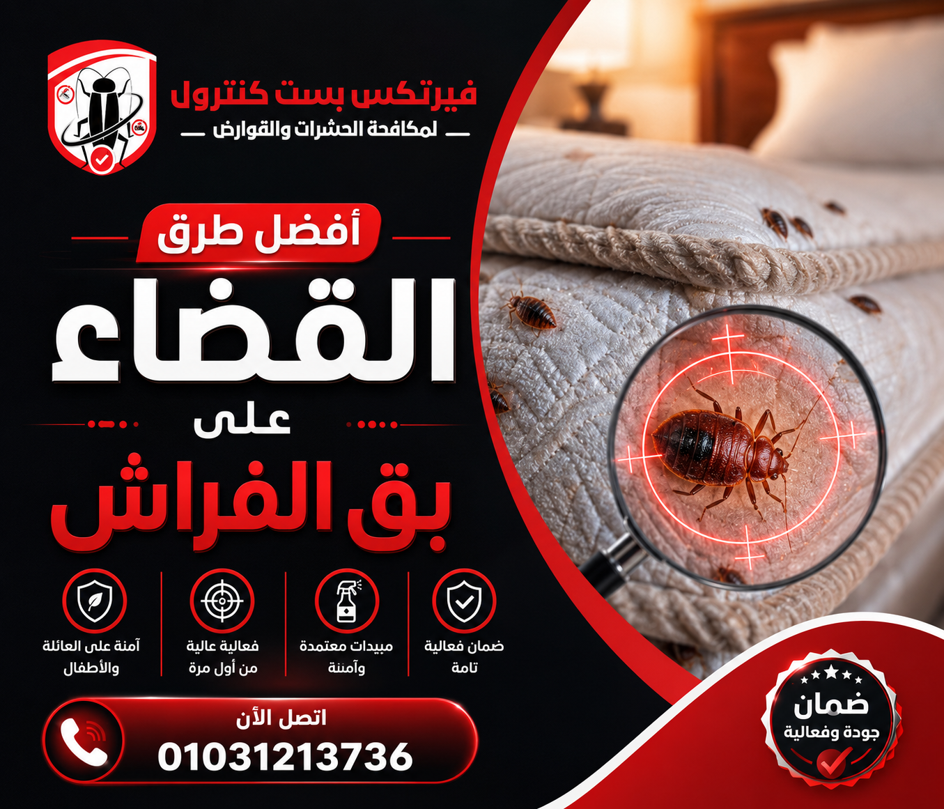 أفضل طرق القضاء على بق الفراش.