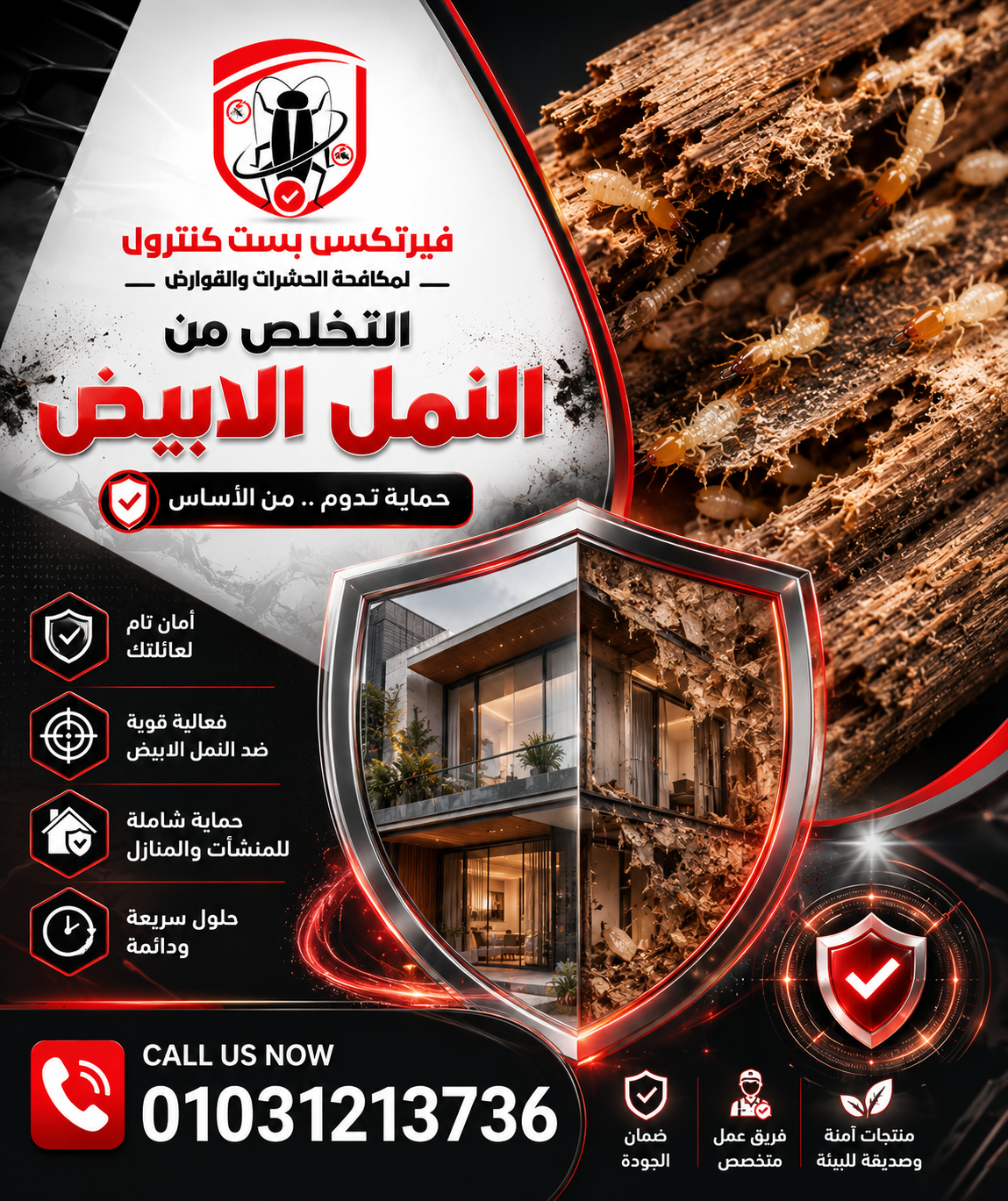 التخلص من النمل الابيض