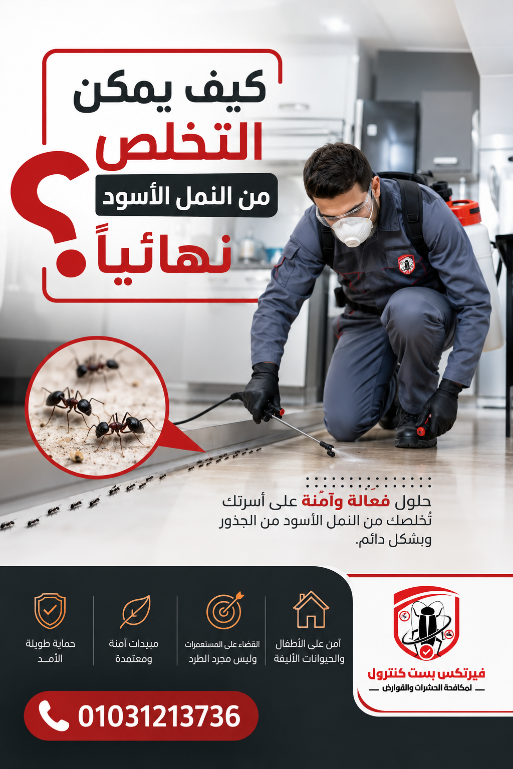 كيف يمكن التخلص من النمل الأسود نهائيًا؟