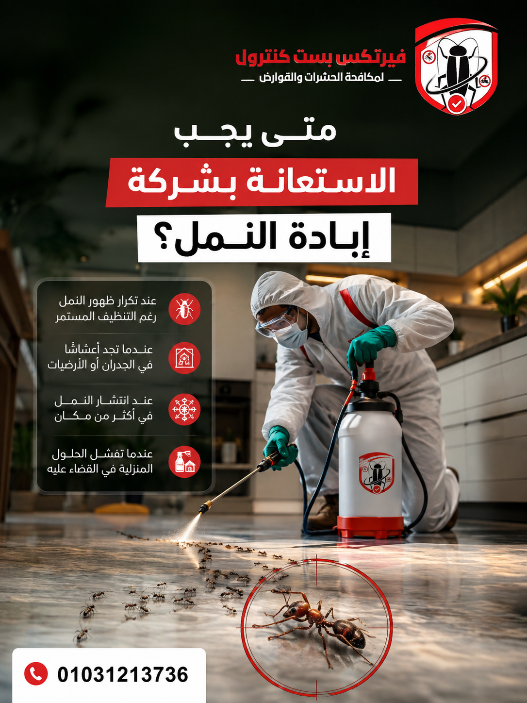متى يجب الاستعانة بشركة ابادة النمل؟